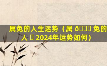 属兔的人生运势（属 🐒 兔的人 ☘ 2024年运势如何）